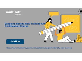 Sailpoint Identity Now Training And Certification Course