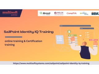 SailPoint Identity IQ Training And Certification Course