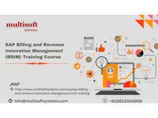 SAP Billing and Revenue Innovation Management (BRIM) Training Course