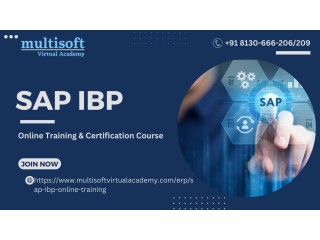 SAP IBP Online Training & Certification Course