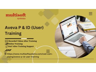 Aveva P & ID (User) Online Training And Certification Course