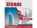 2-years-partner-investor-visa971568201581-small-4