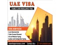 pro-servicesvisa-and-passport971568201581-small-2