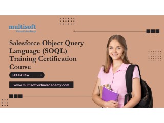 Salesforce Object Query Language (SOQL) Training Certification Course