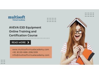 AVEVA E3D Equipment Online Training and Certification Course