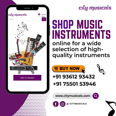 unlock-your-musical-potential-with-the-right-instrument-at-our-online-store-big-2