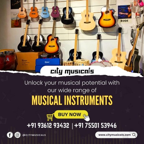 unlock-your-musical-potential-with-the-right-instrument-at-our-online-store-big-0