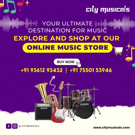 unlock-your-musical-potential-with-the-right-instrument-at-our-online-store-big-1