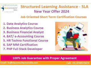 Best Institute for Tally Training Course in Delhi by Structured Learning Assistance [2024]- SLA GST and Accounting Institute,