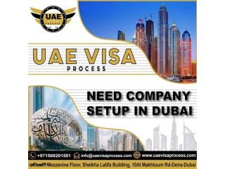 2 YEARS BUSINESS PARTNER VISA UAE   +971568201581