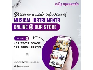 Unlock your musical potential with the right instrument at our online store - Citymusicals