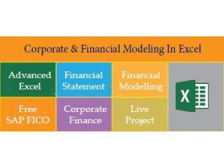 Financial Modelling Training Course in Delhi,110027. Best Online Live Financial Analyst Training in Vadodara by IIT Faculty , [ 100% Job in MNC]