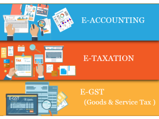 Accounting Course in Delhi, 110055, SLA Accounting Institute, SAP FICO and Tally Prime Institute in Delhi, Noida