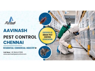 Best Pest Control Services experts in Chennai  Aavinashpestcontrol