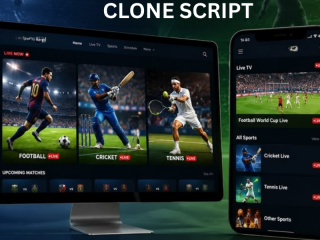 start-your-sports-betting-venture-with-whitelabel-bet365-software