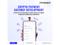 build-smarter-payment-solutions-with-crypto-payment-gateway-development-small-0